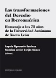 Portada de: LAS TRANSFORMACIONES DEL DERECHO EN IBEROAMERICA