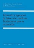 Portada de: VALORACION Y COMPENSACION DE DAÑOS ENTRE FAMILIARES. FUNDAME