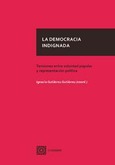 Portada de: LA DEMOCRACIA INDIGNADA